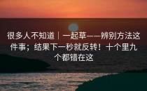 很多人不知道｜一起草——辨别方法这件事；结果下一秒就反转！十个里九个都错在这