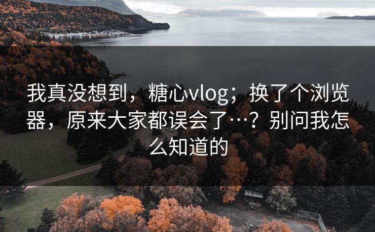 我真没想到，糖心vlog；换了个浏览器，原来大家都误会了…？别问我怎么知道的  第1张